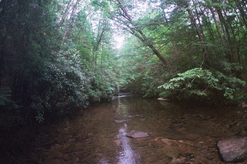 Laurel Fork Creek_ Big South Fork country.jpg